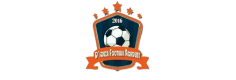 Dsouza Football Academy Logo