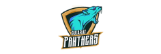 Gujarat Panthers Logo